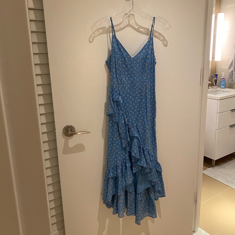 Love Shack Fancy blue floral dress